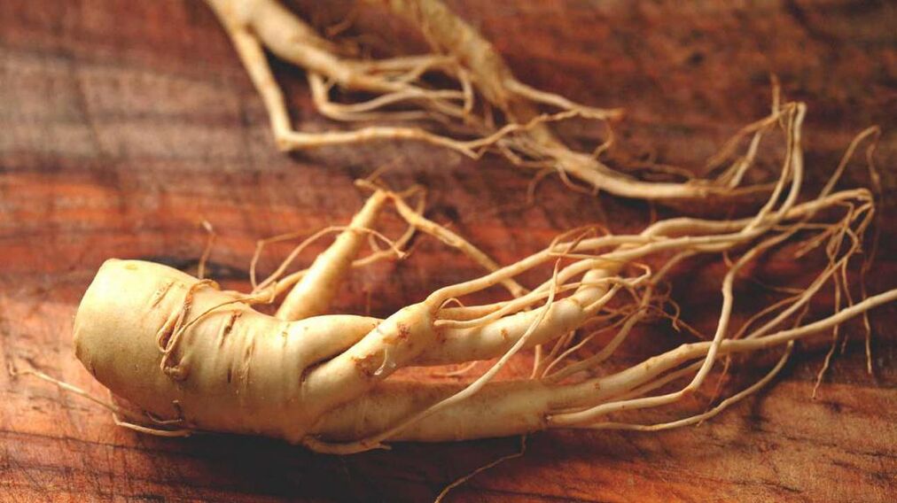 La raíz de ginseng puede aumentar la eficacia